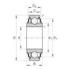 206-KRR Radial insert ball bearings
