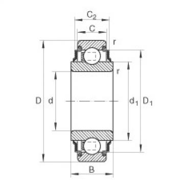 203-KRR-AH05 Radial insert ball bearings