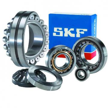 SKF BEARINGS