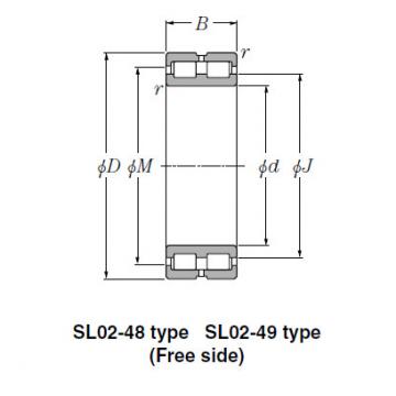 Bearing SL02-4844