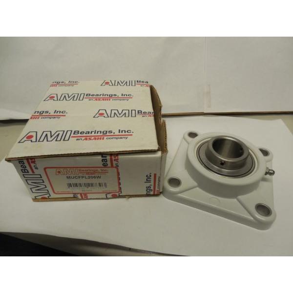 AMI 4 BOLT STAINLESS WHITE FLANGE BEARING MUCFPL206W MUC206FD #1 image